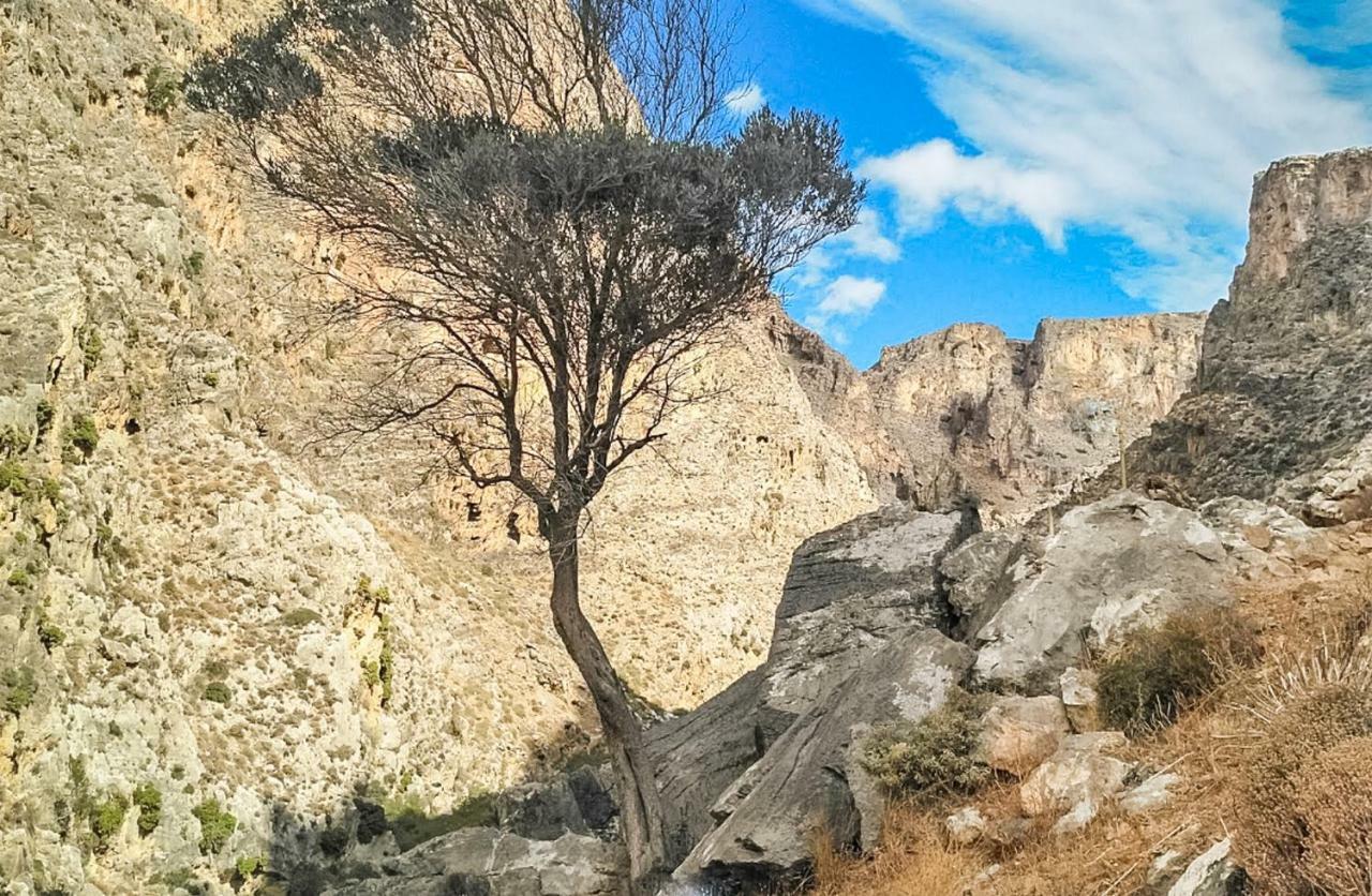 Villa Palma Sitia  Dış mekan fotoğraf