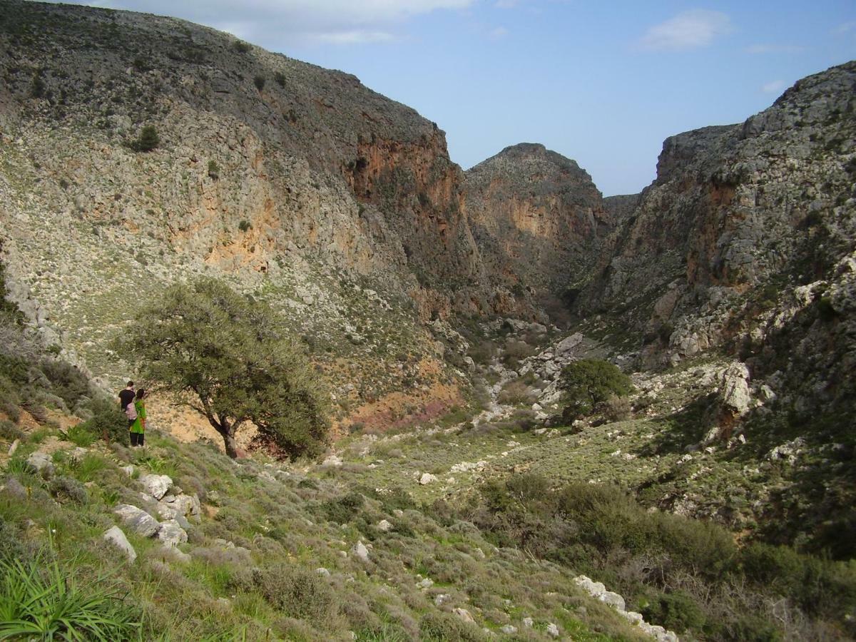 Villa Palma Sitia  Dış mekan fotoğraf